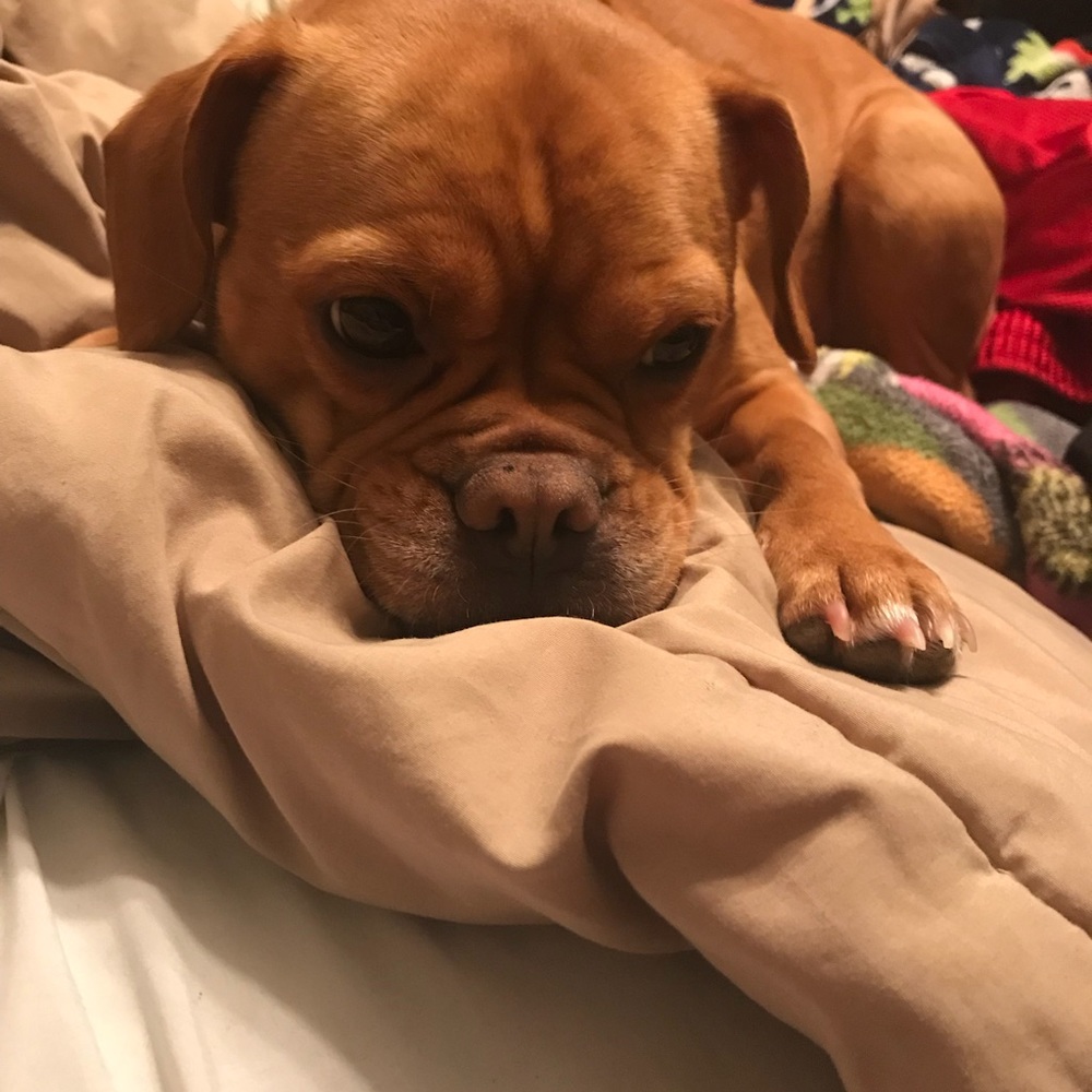 Meet your Posher, Gabi